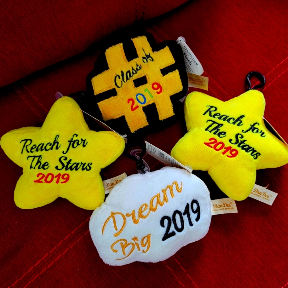 Graduation Plus - 2019